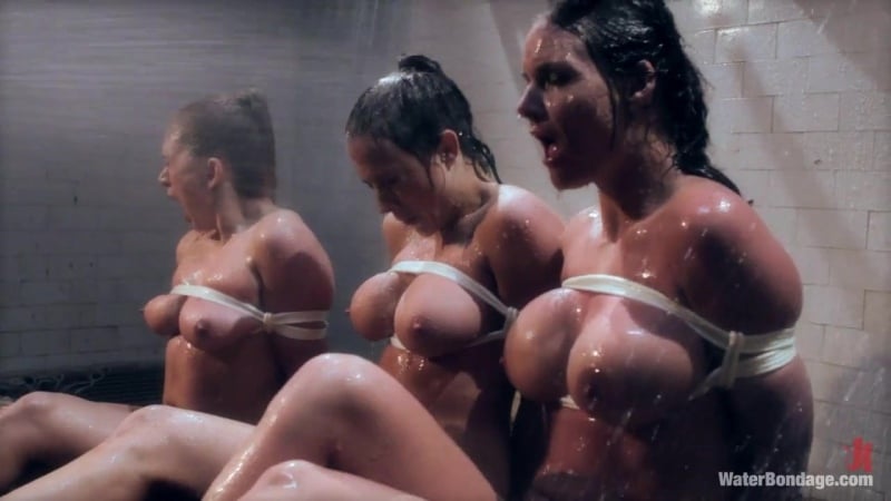 Bobbi starr, phoenix marie, lea lexis,chanel preston (porn house)